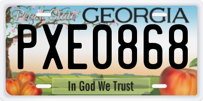 GA license plate PXE0868