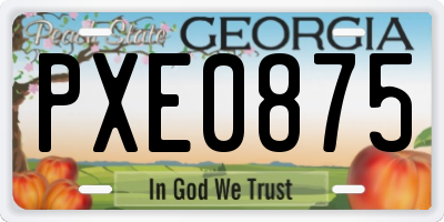 GA license plate PXE0875
