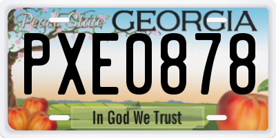 GA license plate PXE0878