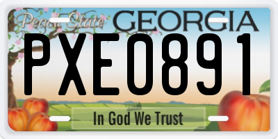 GA license plate PXE0891
