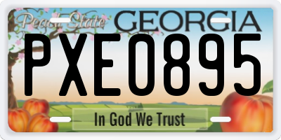 GA license plate PXE0895
