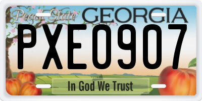 GA license plate PXE0907