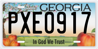 GA license plate PXE0917
