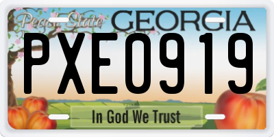 GA license plate PXE0919