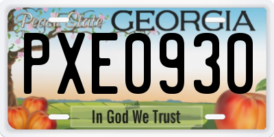 GA license plate PXE0930