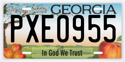 GA license plate PXE0955