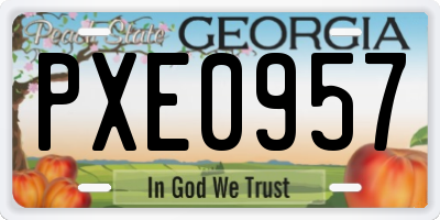 GA license plate PXE0957