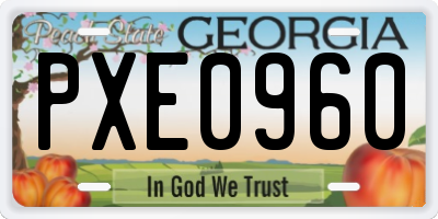 GA license plate PXE0960