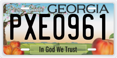 GA license plate PXE0961