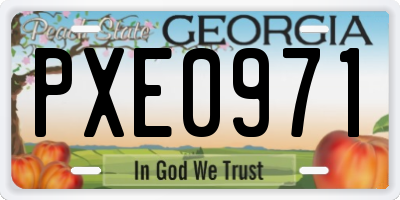 GA license plate PXE0971