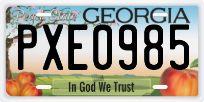 GA license plate PXE0985