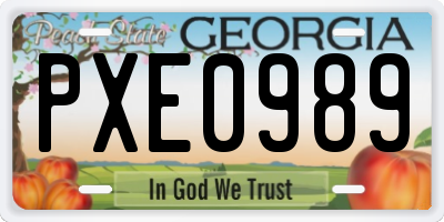GA license plate PXE0989