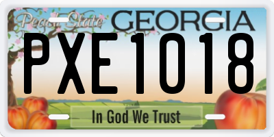 GA license plate PXE1018