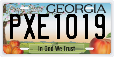 GA license plate PXE1019