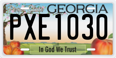 GA license plate PXE1030