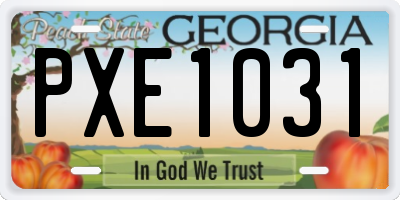 GA license plate PXE1031