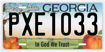 GA license plate PXE1033