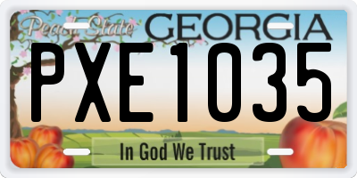 GA license plate PXE1035