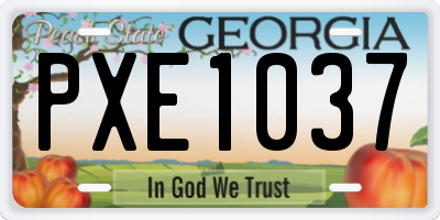 GA license plate PXE1037