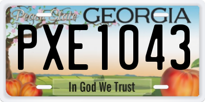 GA license plate PXE1043