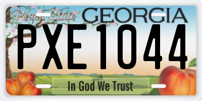 GA license plate PXE1044