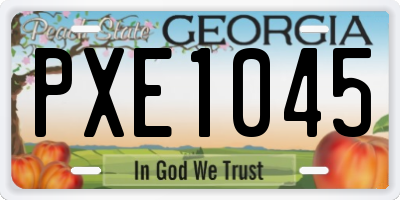 GA license plate PXE1045