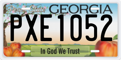 GA license plate PXE1052