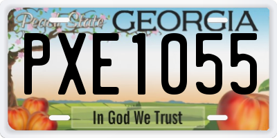 GA license plate PXE1055