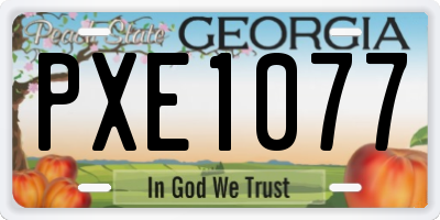 GA license plate PXE1077