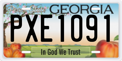 GA license plate PXE1091