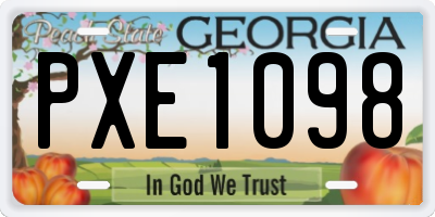 GA license plate PXE1098