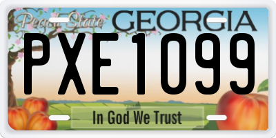 GA license plate PXE1099