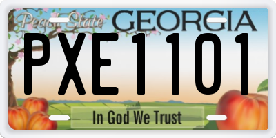 GA license plate PXE1101