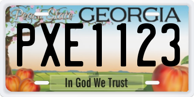 GA license plate PXE1123