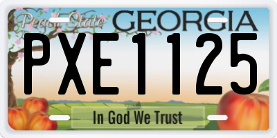 GA license plate PXE1125