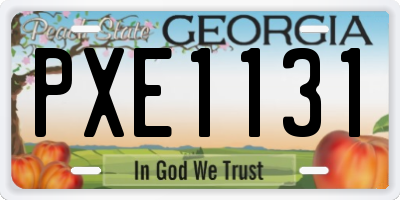 GA license plate PXE1131