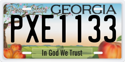 GA license plate PXE1133