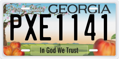 GA license plate PXE1141