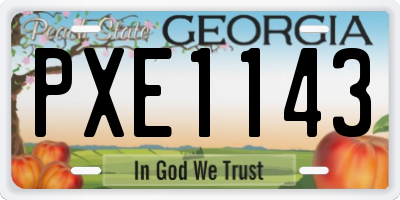 GA license plate PXE1143