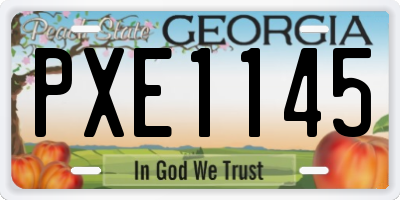 GA license plate PXE1145