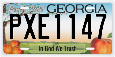 GA license plate PXE1147
