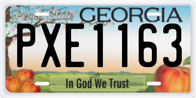 GA license plate PXE1163