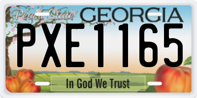 GA license plate PXE1165