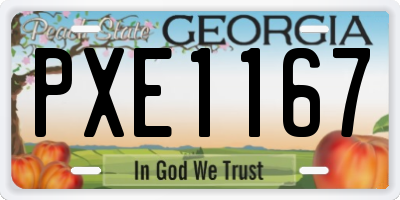 GA license plate PXE1167