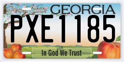 GA license plate PXE1185