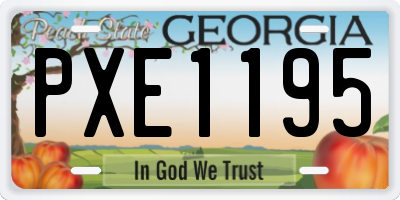 GA license plate PXE1195