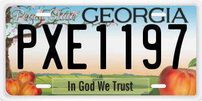 GA license plate PXE1197