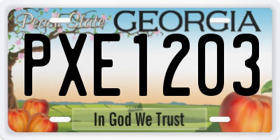 GA license plate PXE1203