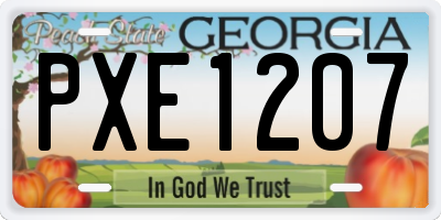 GA license plate PXE1207