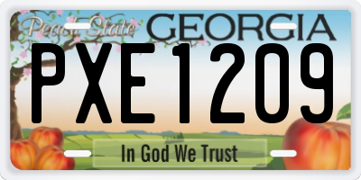 GA license plate PXE1209